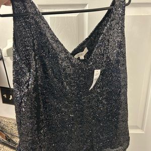 NWT loft sequin tank top.